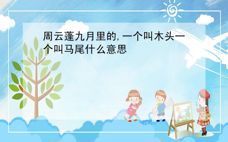 周云蓬九月里的,一个叫木头一个叫马尾什么意思