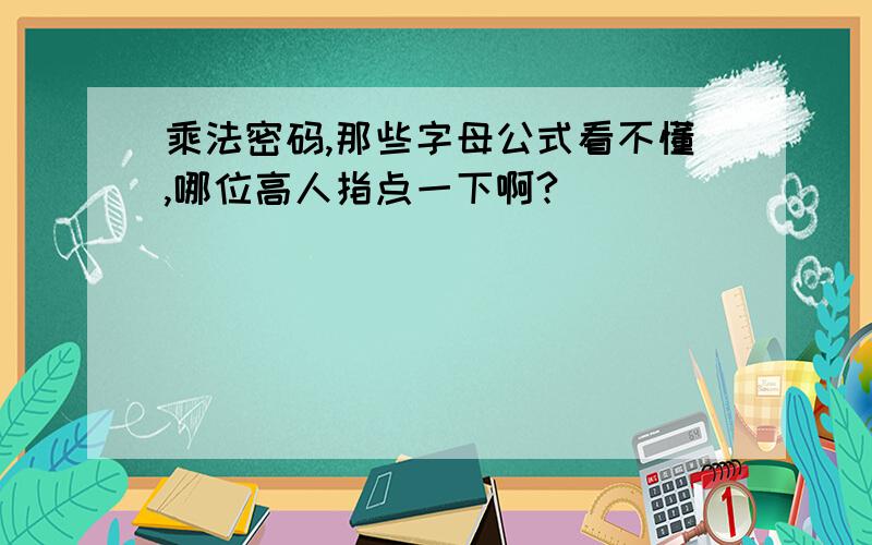 乘法密码,那些字母公式看不懂,哪位高人指点一下啊?