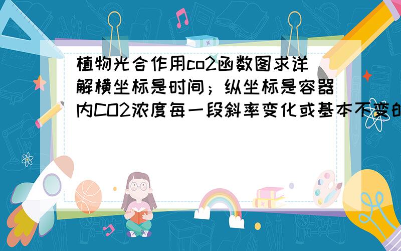 植物光合作用co2函数图求详解横坐标是时间；纵坐标是容器内CO2浓度每一段斜率变化或基本不变的原因 反正把整个过程说详细点就好