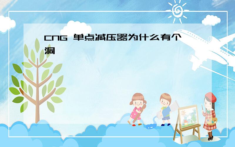 CNG 单点减压器为什么有个洞