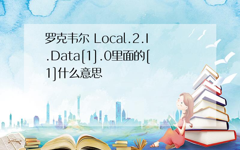 罗克韦尔 Local.2.I.Data[1].0里面的[1]什么意思