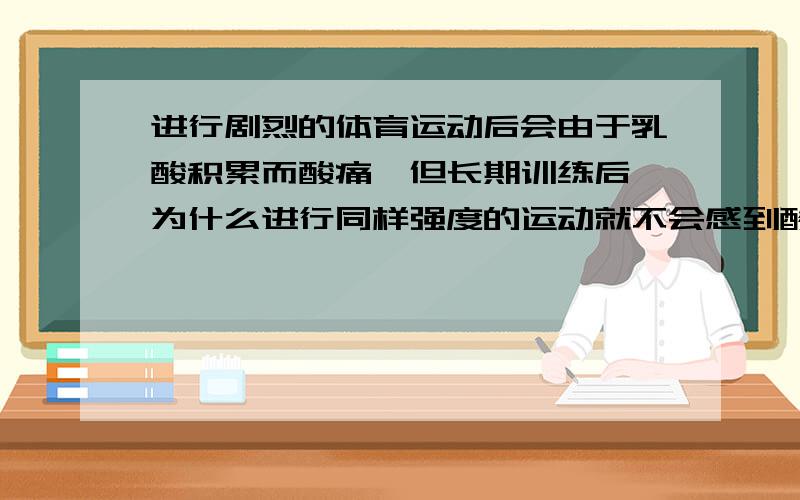 进行剧烈的体育运动后会由于乳酸积累而酸痛,但长期训练后,为什么进行同样强度的运动就不会感到酸痛?请问,是不是乳酸积累减少了?