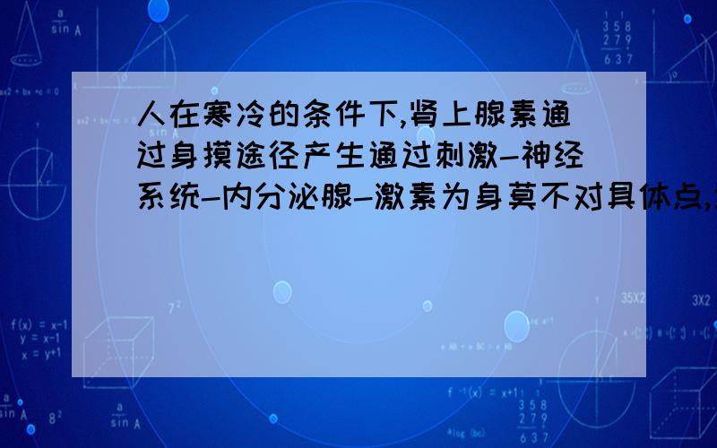 人在寒冷的条件下,肾上腺素通过身摸途径产生通过刺激-神经系统-内分泌腺-激素为身莫不对具体点,通过刺激-神经系统-内分泌腺-激素为身莫不对