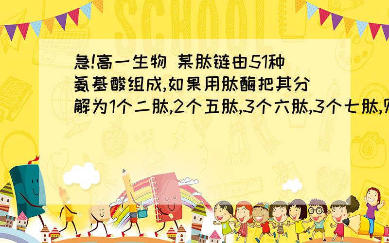 急!高一生物 某肽链由51种氨基酸组成,如果用肽酶把其分解为1个二肽,2个五肽,3个六肽,3个七肽,则某肽链由51种氨基酸组成,如果用肽酶把其分解为1个二肽,2个五肽,3个六肽,3个七肽,则这些氨基