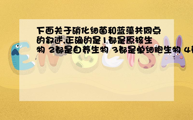 下面关于硝化细菌和蓝藻共同点的叙述,正确的是1都是原核生物 2都是自养生物 3都是单细胞生物 4都是需氧型生物A 只有1 B 只有12C只有123D1234