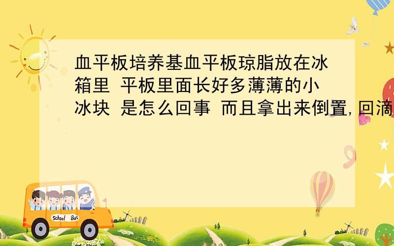 血平板培养基血平板琼脂放在冰箱里 平板里面长好多薄薄的小冰块 是怎么回事 而且拿出来倒置,回滴出来血 .放在培养箱里溶化,平板里面有好多气泡.这会不会影响实验结果呢?