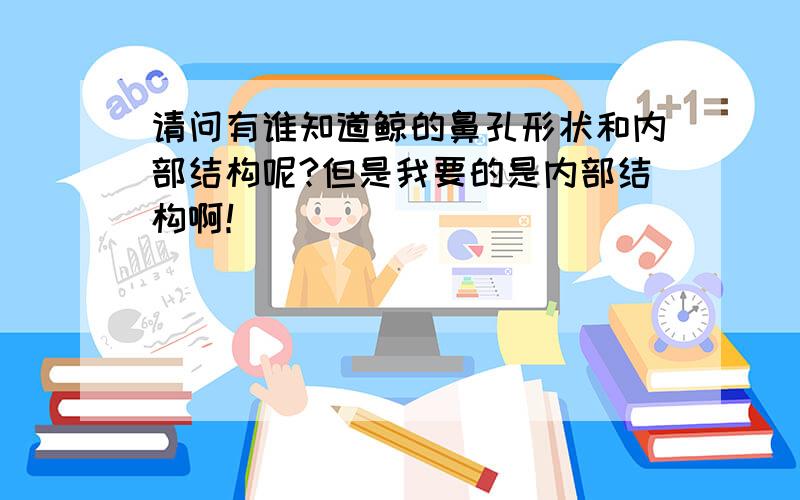 请问有谁知道鲸的鼻孔形状和内部结构呢?但是我要的是内部结构啊！