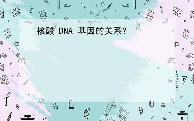 核酸 DNA 基因的关系?