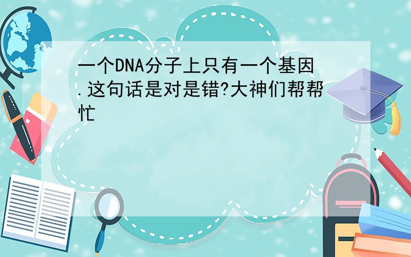 一个DNA分子上只有一个基因.这句话是对是错?大神们帮帮忙