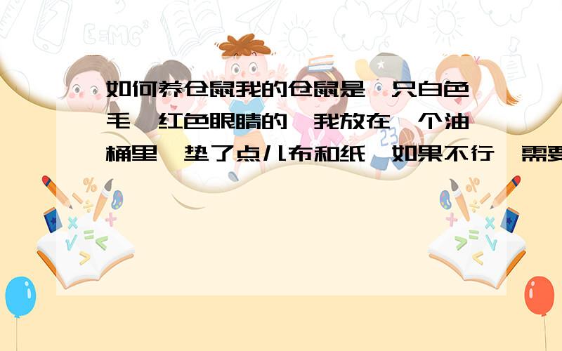 如何养仓鼠我的仓鼠是一只白色毛、红色眼睛的,我放在一个油桶里,垫了点儿布和纸,如果不行,需要什么?可以给它用水洗澡吗?如何分辨公母?我喂了它菜叶和肉为什么它不吃?我应该喂什么?