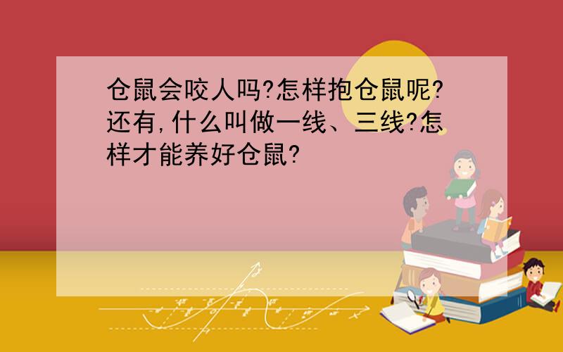 仓鼠会咬人吗?怎样抱仓鼠呢?还有,什么叫做一线、三线?怎样才能养好仓鼠?