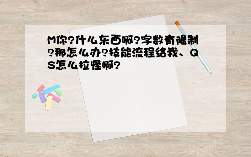 M你?什么东西啊?字数有限制?那怎么办?技能流程给我、QS怎么拉怪啊?