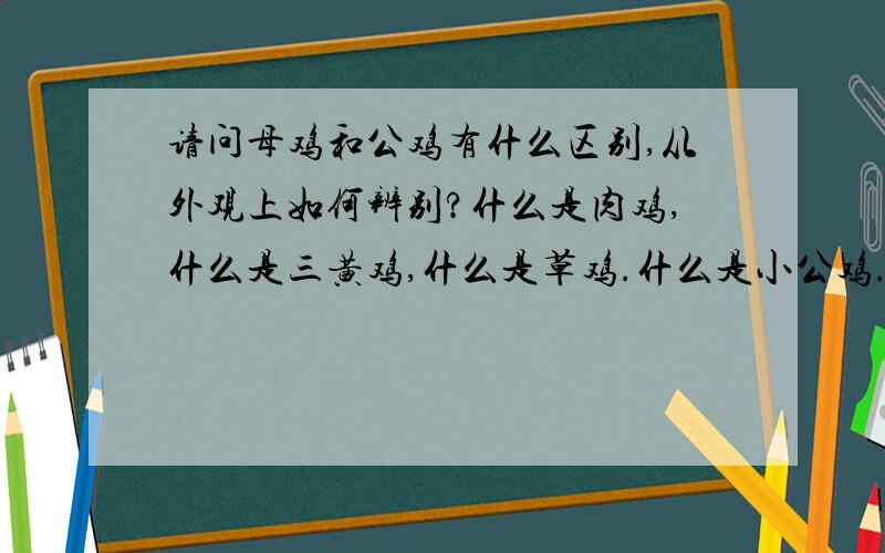 请问母鸡和公鸡有什么区别,从外观上如何辨别?什么是肉鸡,什么是三黄鸡,什么是草鸡.什么是小公鸡.如何辨别?那烧熟的鸡,如何区分公母.为什么大家都说俺无聊,摘不懂.我不懂就问难道不可