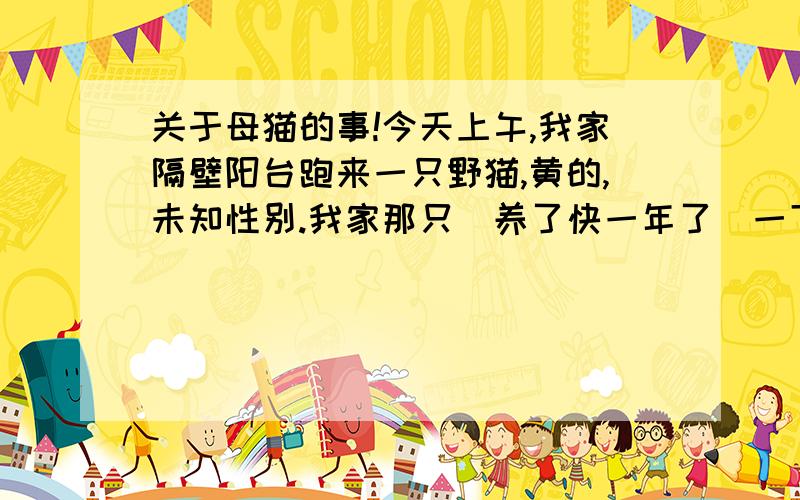 关于母猫的事!今天上午,我家隔壁阳台跑来一只野猫,黄的,未知性别.我家那只（养了快一年了）一下子冲上去,然后就不见了.过了二十几分钟,那里传出两声猫叫,我妈说去交配了.呃呃呃,如果