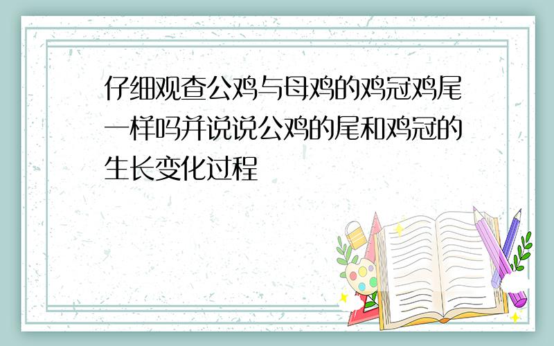 仔细观查公鸡与母鸡的鸡冠鸡尾一样吗并说说公鸡的尾和鸡冠的生长变化过程