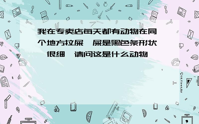 我在专卖店每天都有动物在同一个地方拉屎,屎是黑色条形状 ,很细,请问这是什么动物