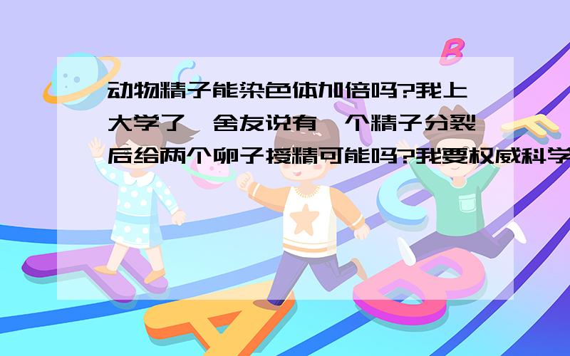 动物精子能染色体加倍吗?我上大学了,舍友说有一个精子分裂后给两个卵子授精可能吗?我要权威科学性的回答,否则无法说服他.不权威没分.