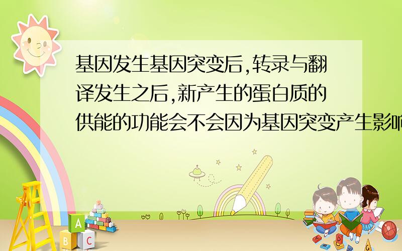 基因发生基因突变后,转录与翻译发生之后,新产生的蛋白质的供能的功能会不会因为基因突变产生影响?