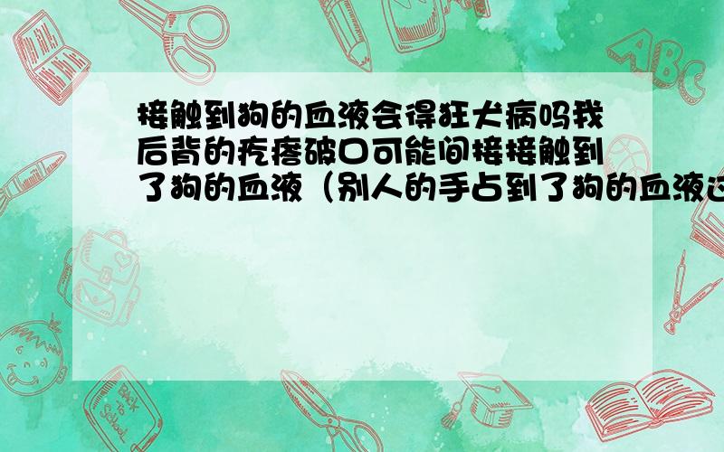 接触到狗的血液会得狂犬病吗我后背的疙瘩破口可能间接接触到了狗的血液（别人的手占到了狗的血液过了很段的时间大概10分钟,那人没有洗手,然后又摸了我的后背破损处） 请问这样会得