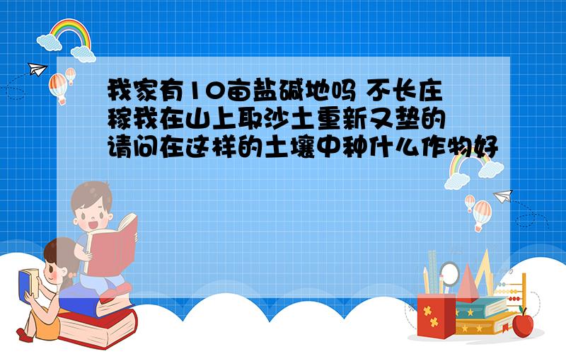 我家有10亩盐碱地吗 不长庄稼我在山上取沙土重新又垫的 请问在这样的土壤中种什么作物好