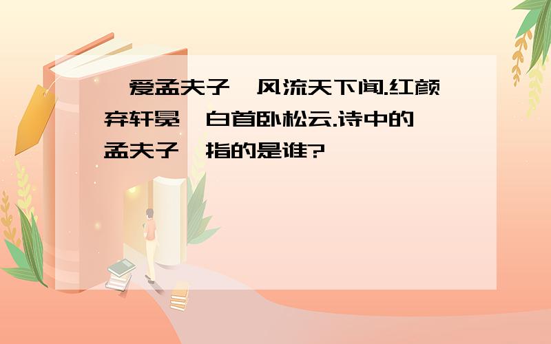 吾爱孟夫子,风流天下闻.红颜弃轩冕,白首卧松云.诗中的