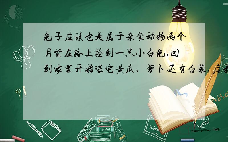 兔子应该也是属于杂食动物两个月前在路上捡到一只小白兔,回到家里开始喂它黄瓜、萝卜还有白菜,后来喂它红烧肉、排骨都会吃的很香,干脆就当成宠物狗来养了.再后来就是鸡鸭鱼肉,包括