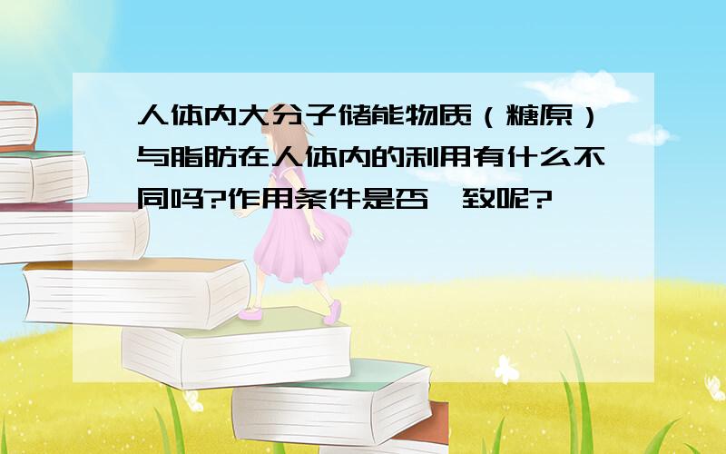 人体内大分子储能物质（糖原）与脂肪在人体内的利用有什么不同吗?作用条件是否一致呢?