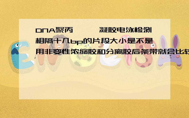 DNA聚丙烯酰胺凝胶电泳检测相隔十几bp的片段大小是不是用非变性浓缩胶和分离胶后条带就会比较集中清楚,请问 两种胶是不是就是浓度不一样?