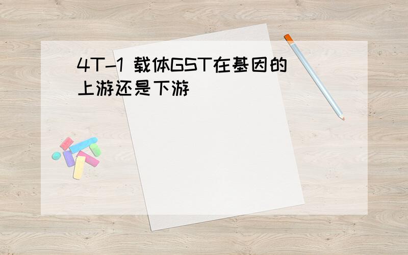 4T-1 载体GST在基因的上游还是下游