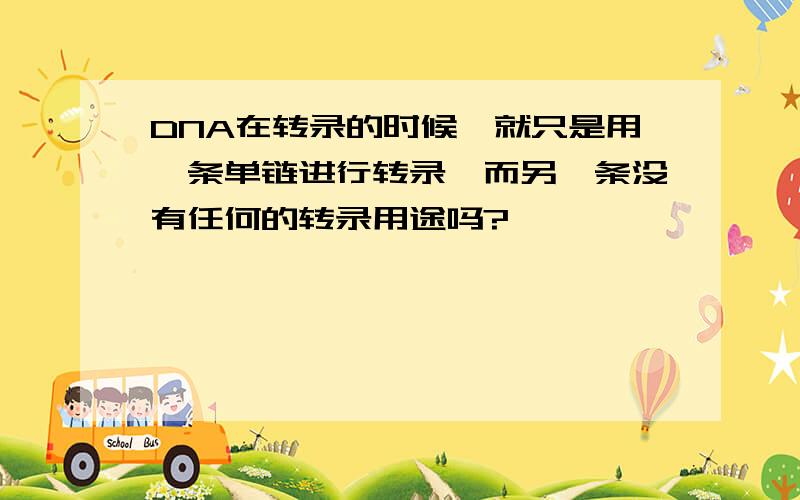 DNA在转录的时候,就只是用一条单链进行转录,而另一条没有任何的转录用途吗?