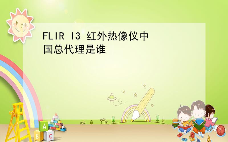 FLIR I3 红外热像仪中国总代理是谁