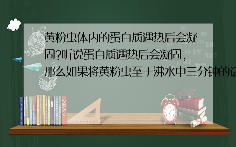 黄粉虫体内的蛋白质遇热后会凝固?听说蛋白质遇热后会凝固,那么如果将黄粉虫至于沸水中三分钟的话,体内的蛋白质(营养)会被煮出来还是会在体内凝固?这样黄粉虫的营养价值会降低?