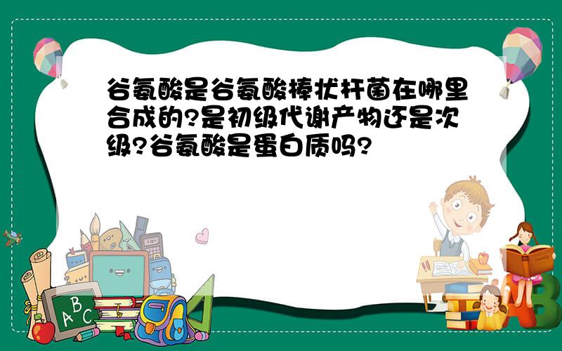 谷氨酸是谷氨酸棒状杆菌在哪里合成的?是初级代谢产物还是次级?谷氨酸是蛋白质吗?