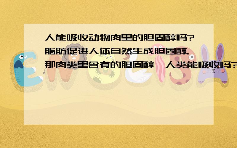 人能吸收动物肉里的胆固醇吗?脂肪促进人体自然生成胆固醇.那肉类里含有的胆固醇,人类能吸收吗?