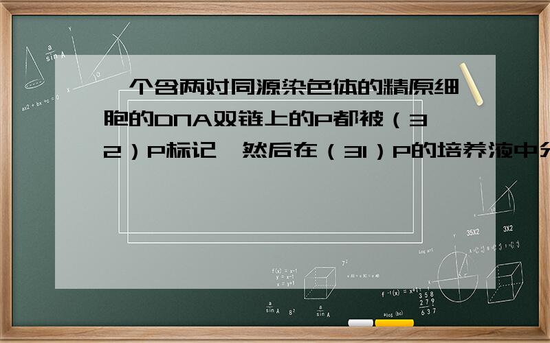 一个含两对同源染色体的精原细胞的DNA双链上的P都被（32）P标记,然后在（31）P的培养液中分别有丝分裂2次和减数分裂1次（不考虑交叉互换）,所能形成的子细胞中含（32）P染色体的子细胞