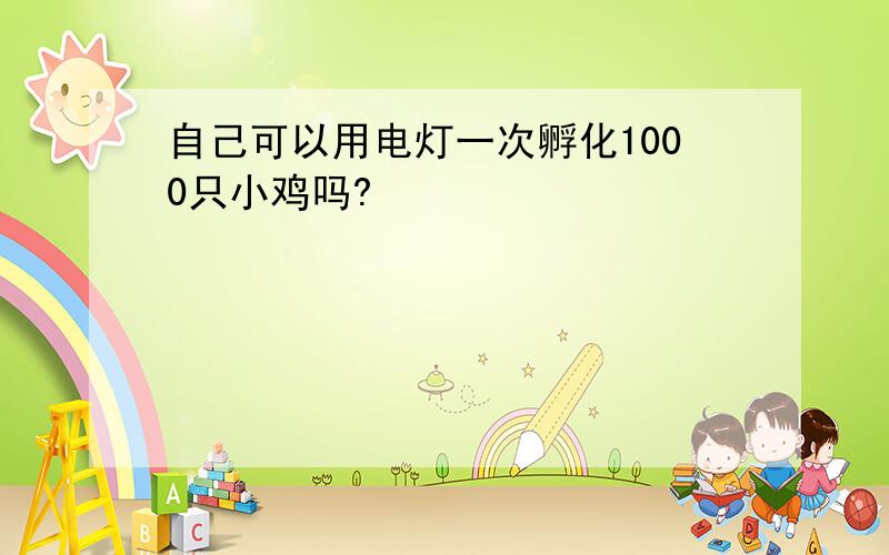 自己可以用电灯一次孵化1000只小鸡吗?