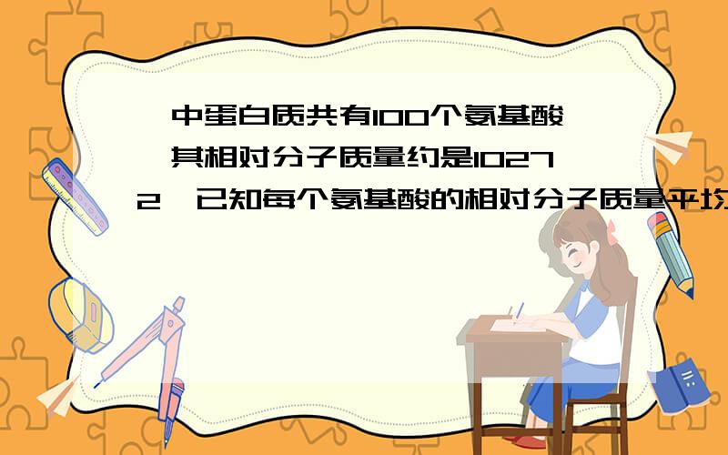 一中蛋白质共有100个氨基酸,其相对分子质量约是10272,已知每个氨基酸的相对分子质量平均是120,则该蛋白质共有几条肽链组成?