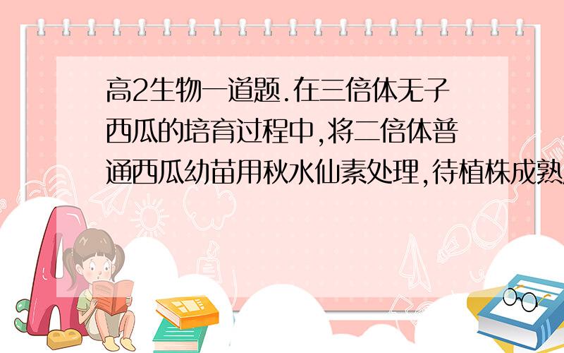 高2生物一道题.在三倍体无子西瓜的培育过程中,将二倍体普通西瓜幼苗用秋水仙素处理,待植株成熟后接受普通二倍体西瓜的正常花粉,所结果实的果皮 种皮 胚芽 胚乳细胞的染色体组数依次