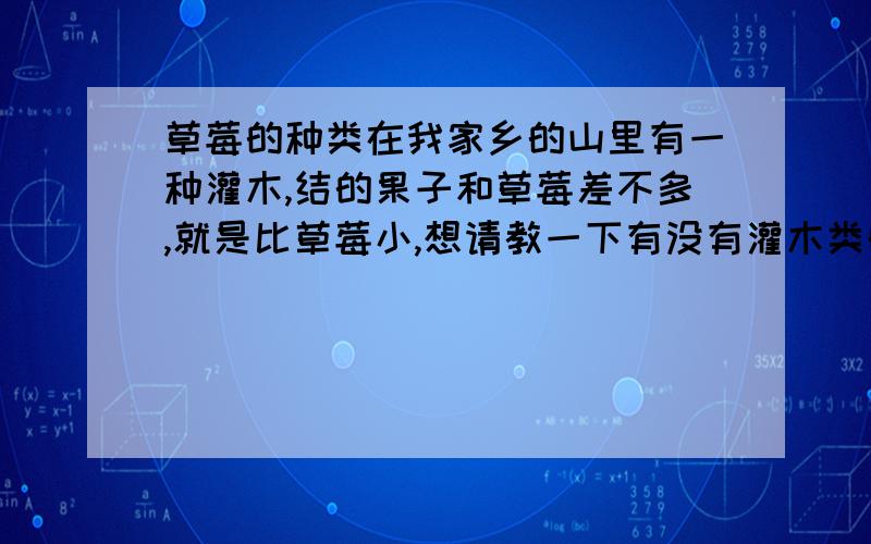 草莓的种类在我家乡的山里有一种灌木,结的果子和草莓差不多,就是比草莓小,想请教一下有没有灌木类的草莓种类