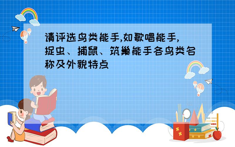 请评选鸟类能手,如歌唱能手,捉虫、捕鼠、筑巢能手各鸟类名称及外貌特点