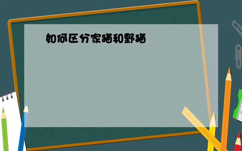 如何区分家猫和野猫