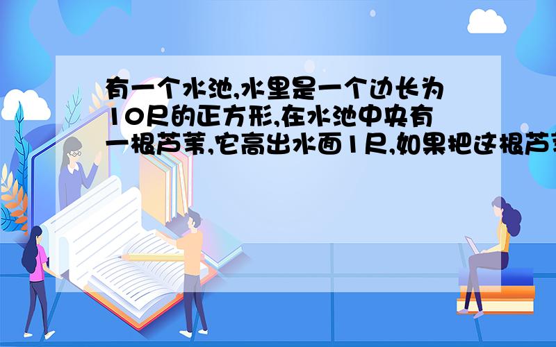 有一个水池,水里是一个边长为10尺的正方形,在水池中央有一根芦苇,它高出水面1尺,如果把这根芦苇拉向水池一边的中点,它的顶端恰好到达池边的水面,水的深度与这根芦苇的长度分别是多少?