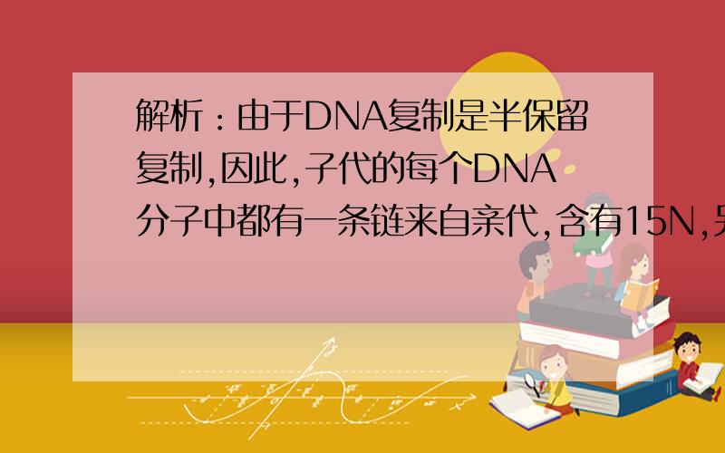 解析：由于DNA复制是半保留复制,因此,子代的每个DNA分子中都有一条链来自亲代,含有15N,另一条子链含有14N,故每个卵细胞中都含有15N标记.我在百度上查了,几乎所有答案都说是D.所以不需要网