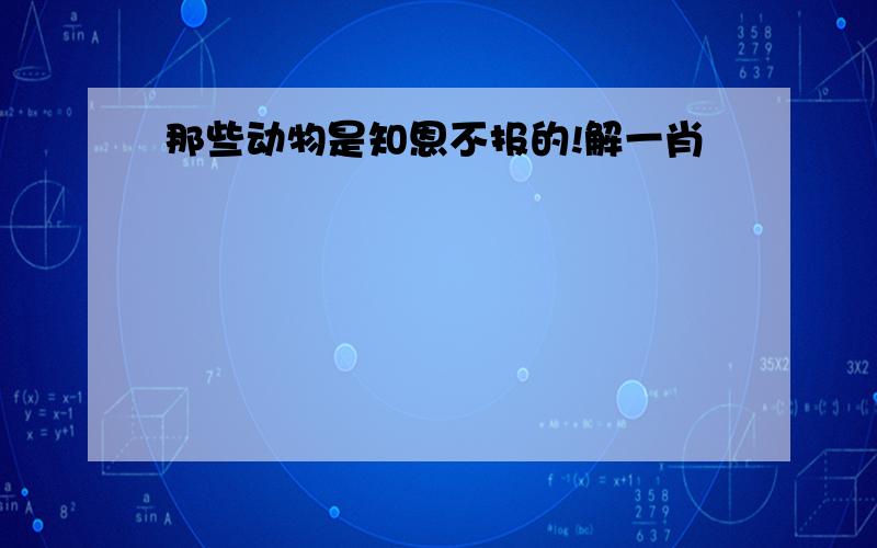 那些动物是知恩不报的!解一肖