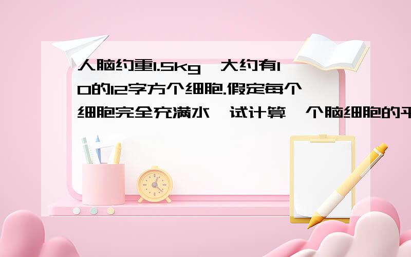 人脑约重1.5kg,大约有10的12字方个细胞.假定每个细胞完全充满水,试计算一个脑细胞的平均大小.如果脑细胞是简单的立方体,那么这个平均大小的脑细胞每边长度是多少?如果这些细胞铺成薄薄