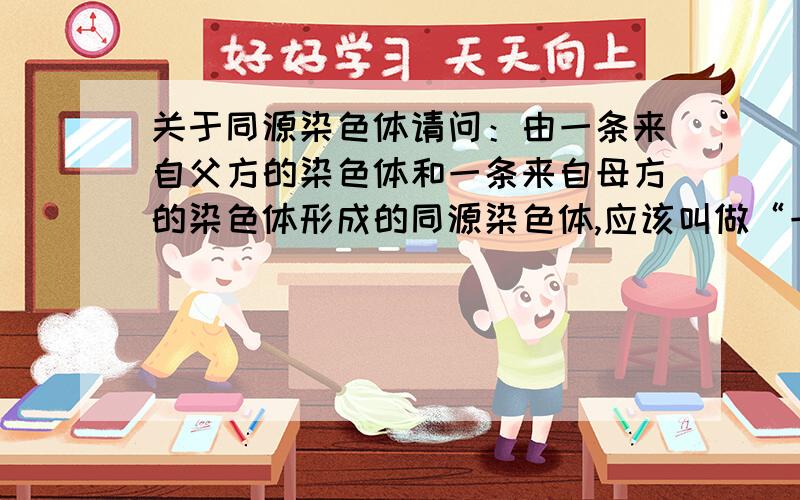 关于同源染色体请问：由一条来自父方的染色体和一条来自母方的染色体形成的同源染色体,应该叫做“一条同源染色体”,还是“一对同源染色体”?