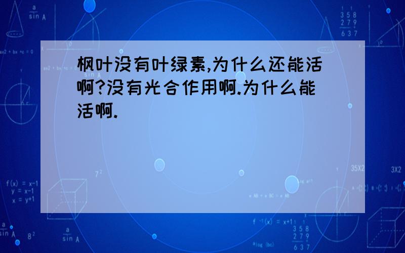 枫叶没有叶绿素,为什么还能活啊?没有光合作用啊.为什么能活啊.