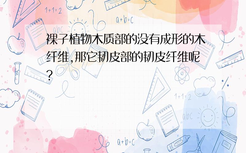 裸子植物木质部的没有成形的木纤维,那它韧皮部的韧皮纤维呢?