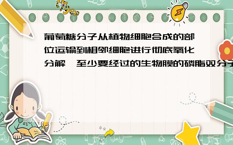 葡萄糖分子从植物细胞合成的部位运输到相邻细胞进行彻底氧化分解,至少要经过的生物膜的磷脂双分子层数是A.3  B.6 C.8  D.12为什么是B?