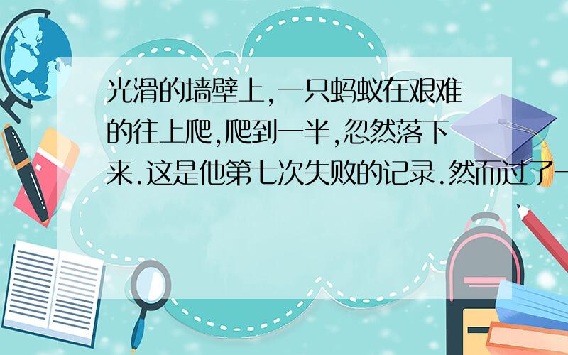 光滑的墙壁上,一只蚂蚁在艰难的往上爬,爬到一半,忽然落下来.这是他第七次失败的记录.然而过了一会儿,它又向着原来的目标,一步步的往上爬……依据上面材料,巧取角度,提炼观点,写一篇250